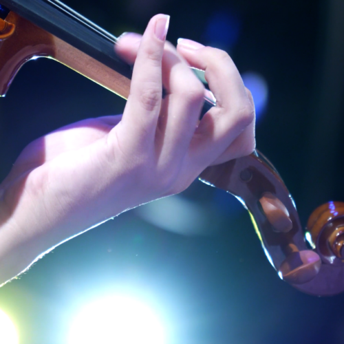 Camerata de Ilhabela